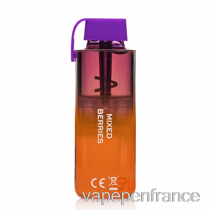 Vozol Neon 10000 Stylo Vape Jetable à Baies Mélangées